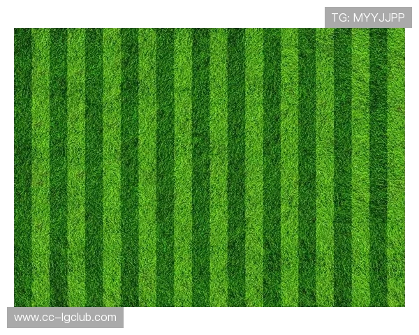 昆明环保足球测评:绿色场地与可持续发展融合的实践与挑战 昆明环保足球测评:绿色场地与可持续发展融合的实践与挑战