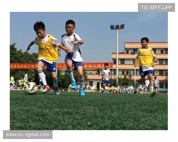 围绕乐清足球幼儿培训机构打造少儿运动成长新模式探索路径研究实践